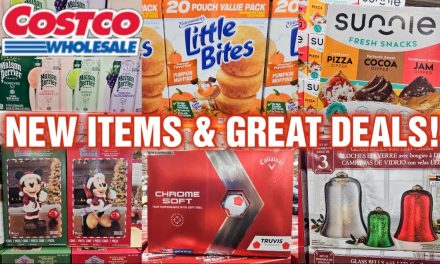 🛒COSTCO NEW ITEM & GREAT DEALS for SEPTEMBER 2024! COME CHECK THEM OUT!✨️